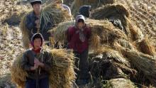 В Северна Корея гладуват около 10 милиона души, обяви ООН