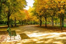 Паркът Тиргартен в Берлин, където е убит Хангошвили