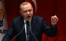 Нова провокация на Ердоган принуди гръцка делегация да напусне официална церемония