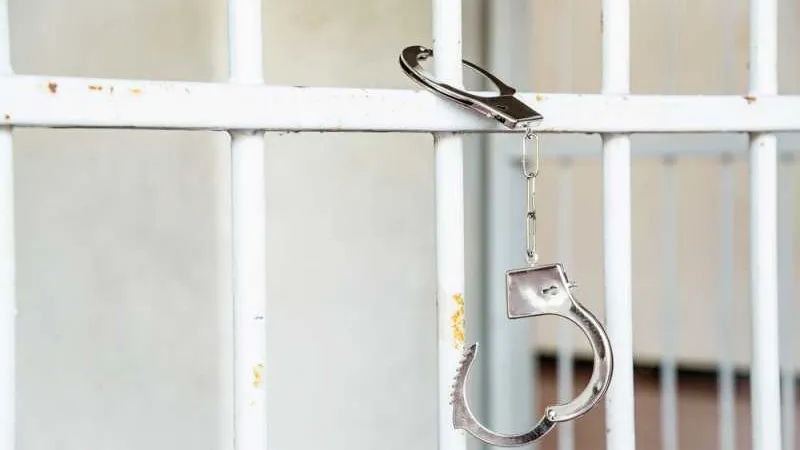 Тежките присъди се дължат на политически мотиви, смятат правозащитници 